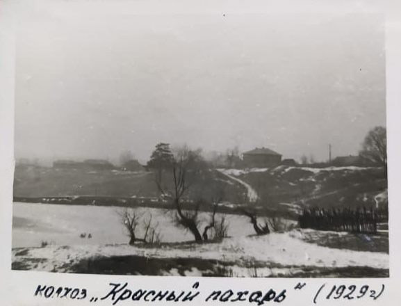 Колхоз "Красный пахарь" 1929 год