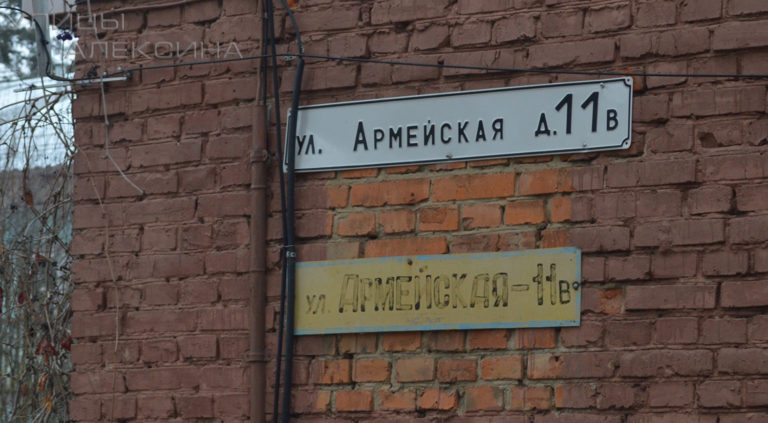 Армейская