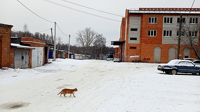 улица Серафимовича
